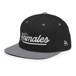 Throwback Script Snapback Hat