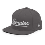 Throwback Script Snapback Hat